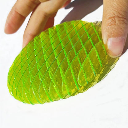 Morph Worm Fidget Disc