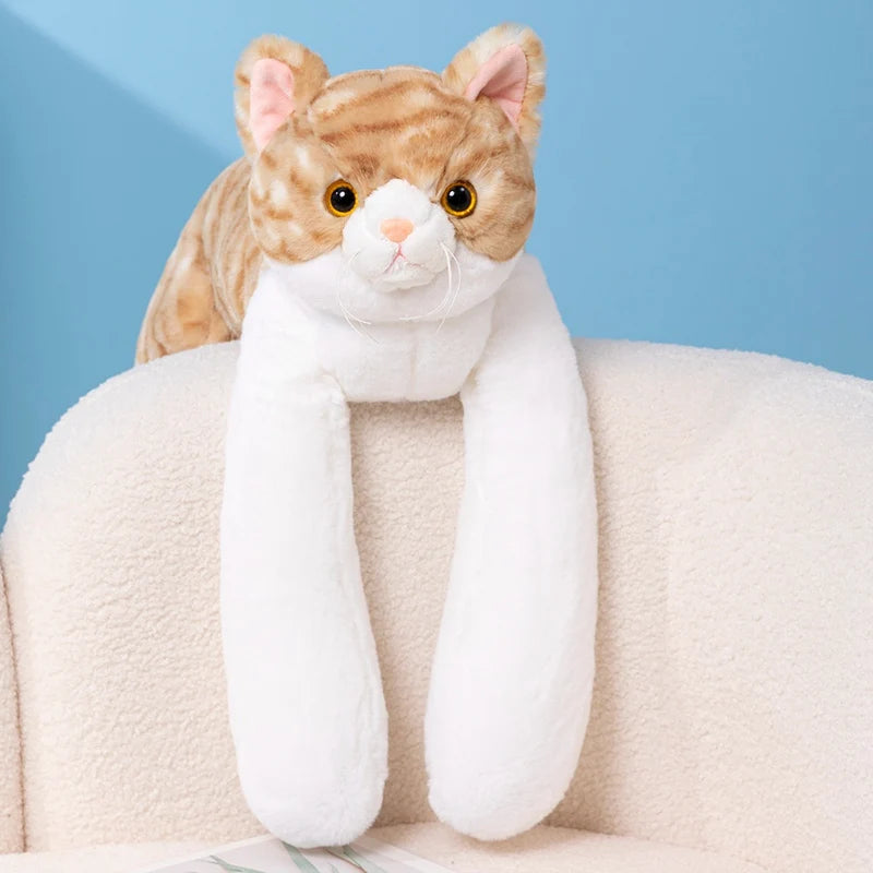 Cuddle Cat