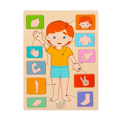 Human Body Parts Wooden Puzzles