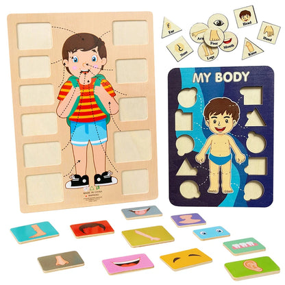 Human Body Parts Wooden Puzzles