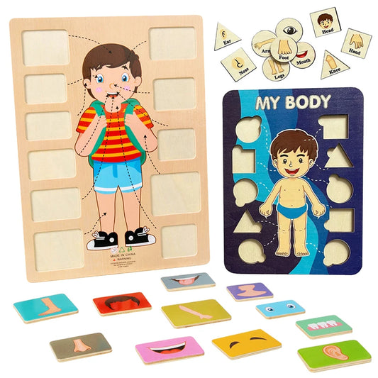 Human Body Parts Wooden Puzzles