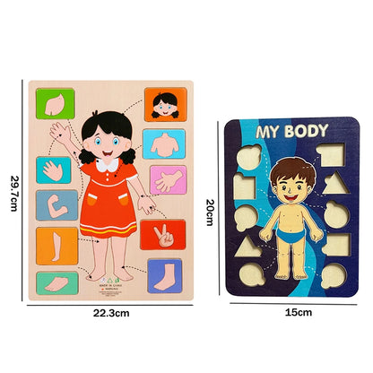 Human Body Parts Wooden Puzzles