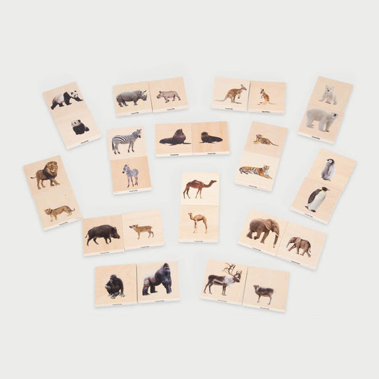 Wild Family Animal Match